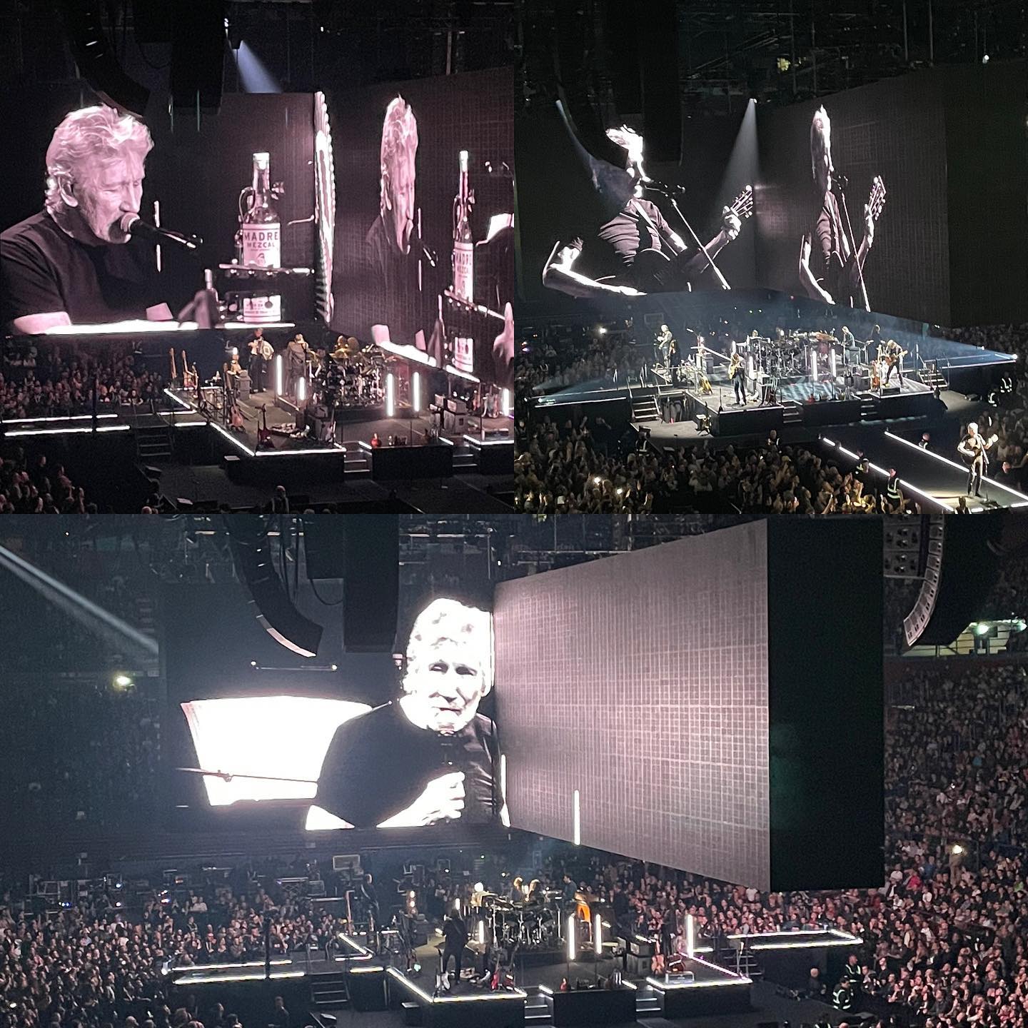 Great show yesterday night in Milan! #rogerwaters #thisisnotadrill #milano #livemusic