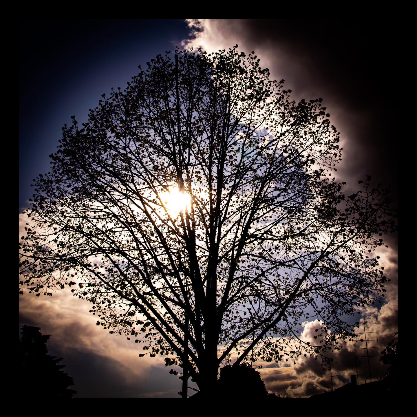 #differentworld #galliate #colors #clouds #canon #countryside #weather #tree #blue
